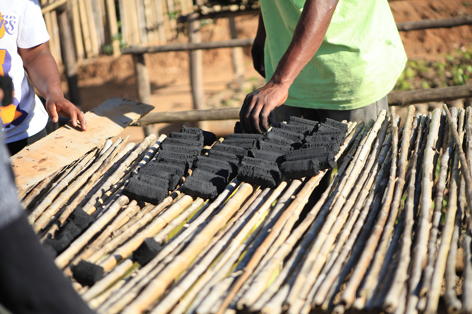 Agriculture Durable et Utilisation des Sous-Produits de Charbon Biologique